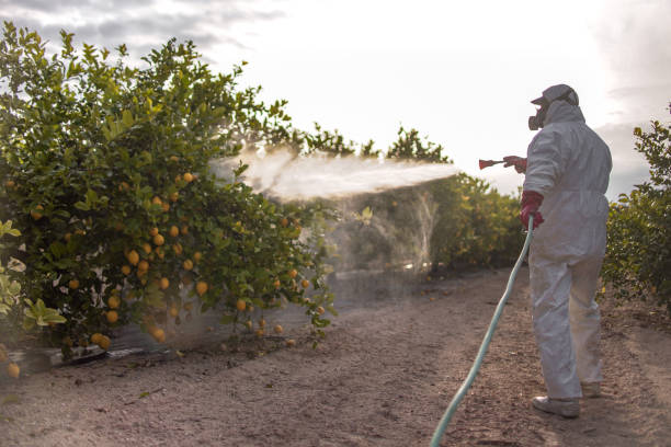 Best Residential Pest Control  in Warren Af, WY