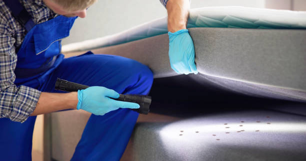 Best Mosquito Control Services  in Warren Af, WY