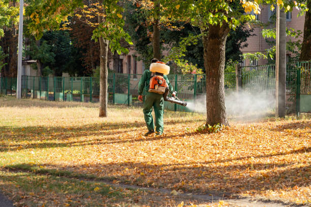 Best Pest Control Near Me  in Warren Af, WY
