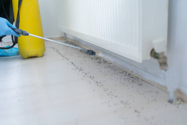 Best Best Pest Control Companies  in Warren Af, WY