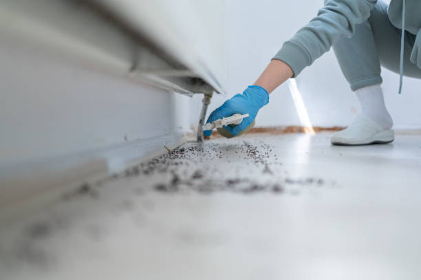Best Pest Removal Services  in Warren Af, WY